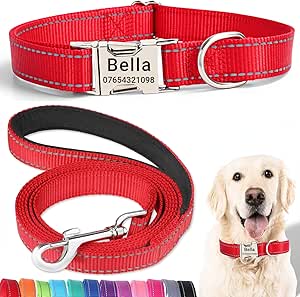 Collar & Leash Set